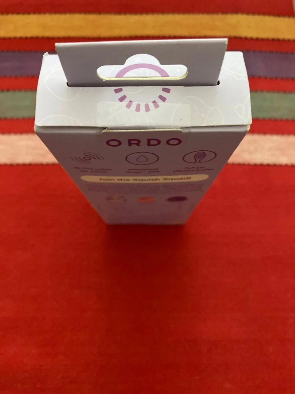 Squishmallows x Ordo Sonic Kids Purple Battery Toothbrush - Daxxon Edition NEW